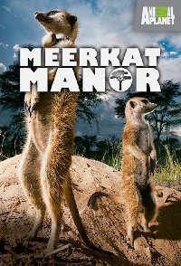 Meerkat Manor